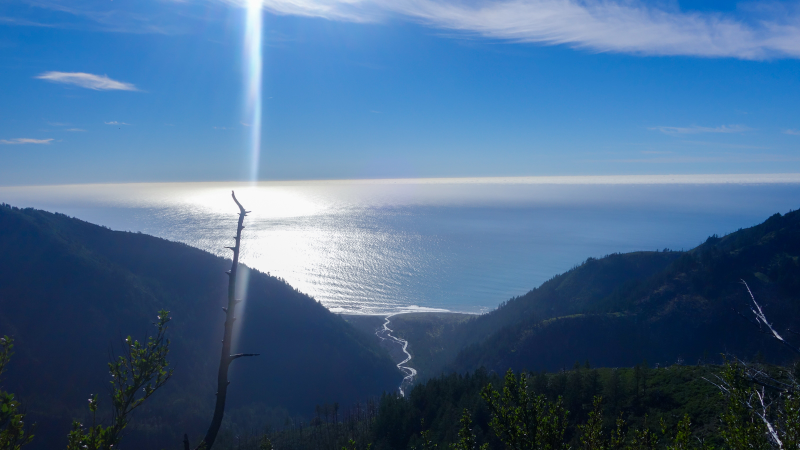 Illustration for article titled Adventure: California's Lost Coast